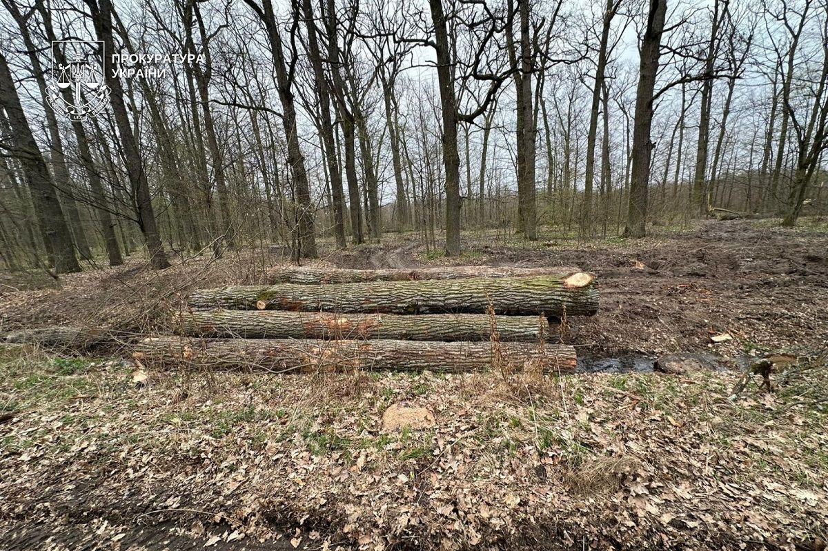Скандальний екскерівник лісгоспу на Закарпатті отримав ще одну підозру
