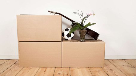 Екологічні лайфгаки для саду: що зробити зі старих картонних коробок