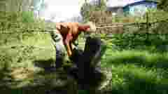 «Памʼять не має національності»