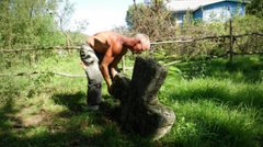 «Памʼять не має національності»