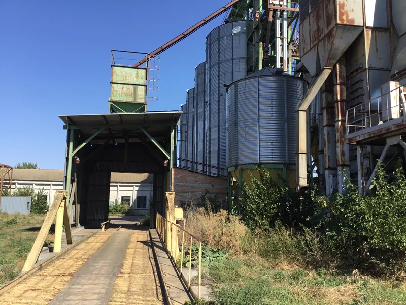 Недобудований зернопереробний комплекс у селі Соснова, Бориспільський район / Фото ФДМУ