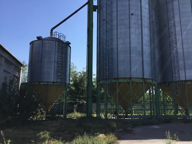 Недобудований зернопереробний комплекс у селі Соснова, Бориспільський район / Фото ФДМУ