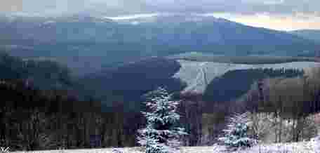 АРМА скасувало продаж 460 га землі повʼязаним із Льовочкіним компаніям 