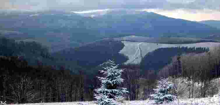 АРМА скасувало продаж 460 га землі повʼязаним із Льовочкіним компаніям 