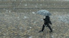 Від морозу і до плюсової температури: якою буде погода у Львові протягом тижня