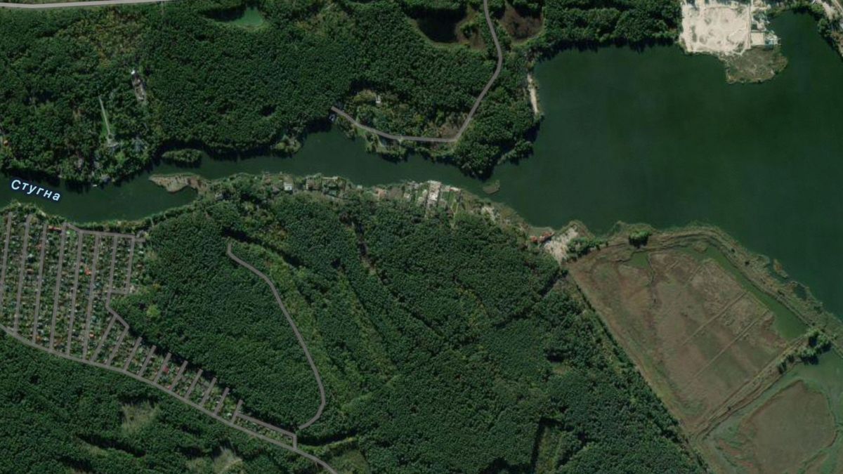 Україна повернула 24 га лісу, оформленого на родину Віктора Медведчука 