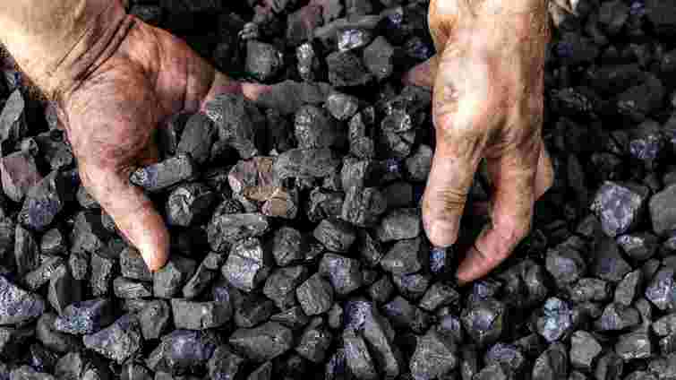 Сотні тисяч тонн у надрах: Україна продає 20-річний спецдозвіл на вугільне родовище  