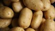 Їсти чи викидати: що робити, якщо картопля замерзла в коморі