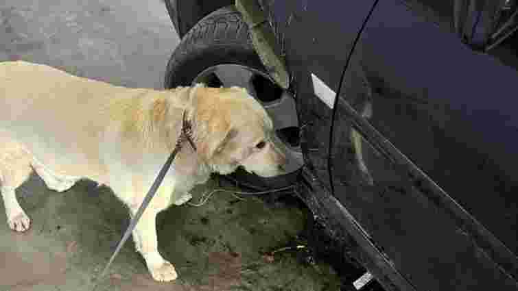 За 350 пачок контрабандних сигарет закарпатські митники вилучили в батька з сином авто