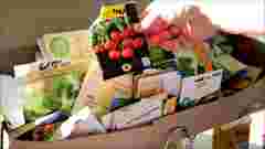 Економія чи якість: де насправді варто купувати насіння