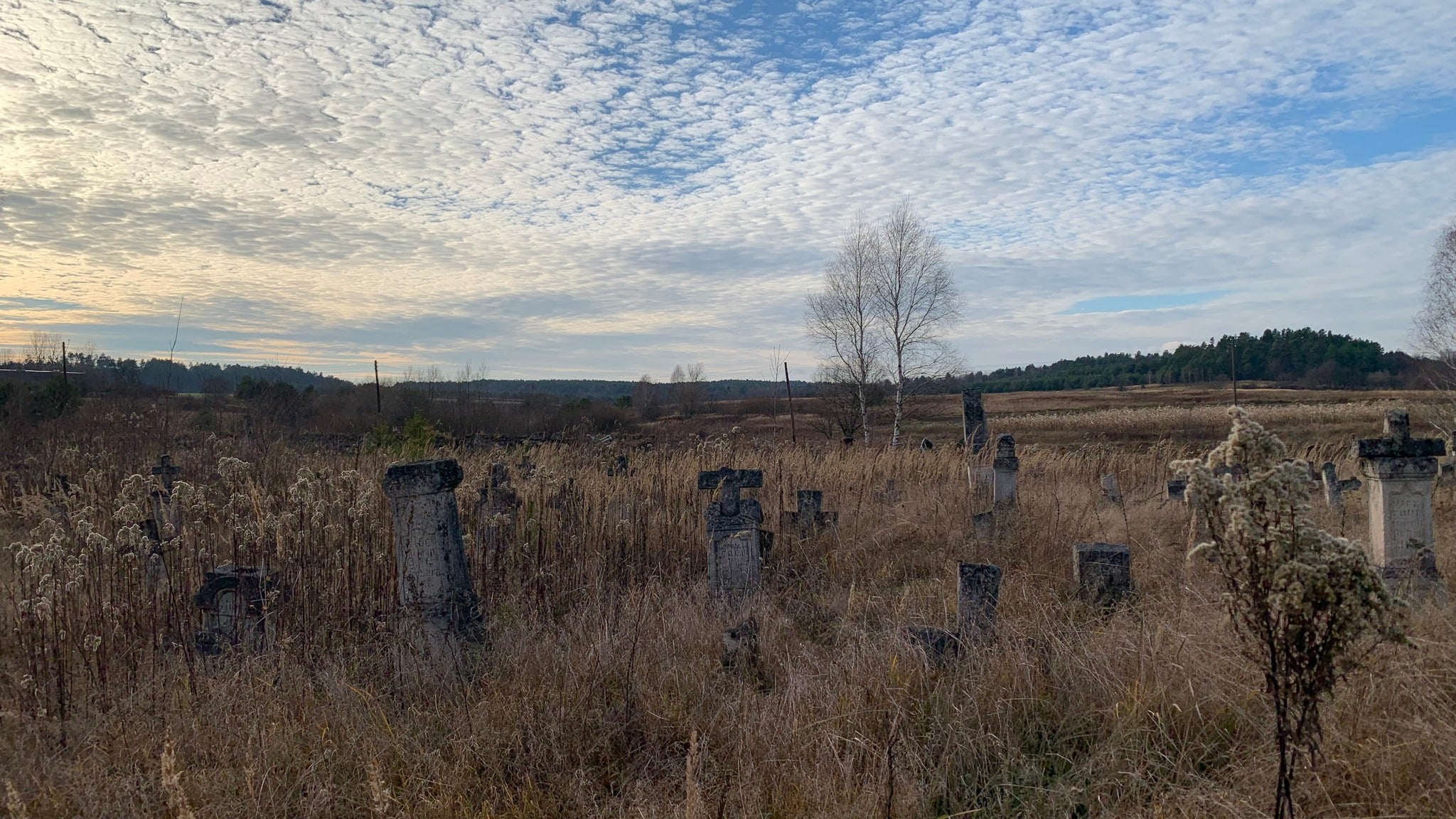 Німецький цвинтар (фото Станіслава Клосовського)