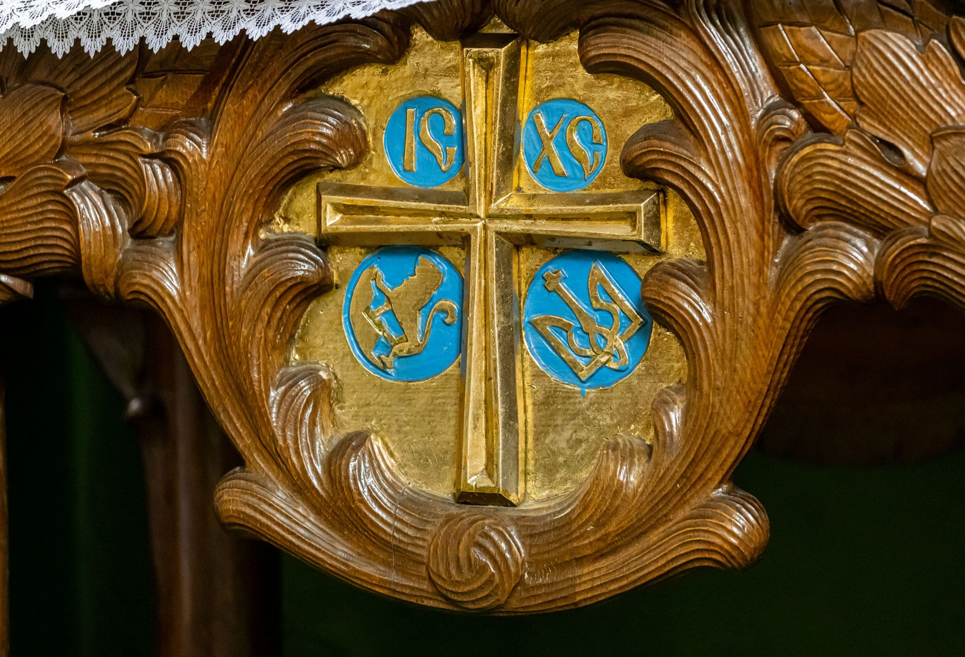 Тетрапод (фото Олекси Піджарого)