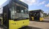 У Львівській громаді запустять п’ять нових автобусних маршрутів