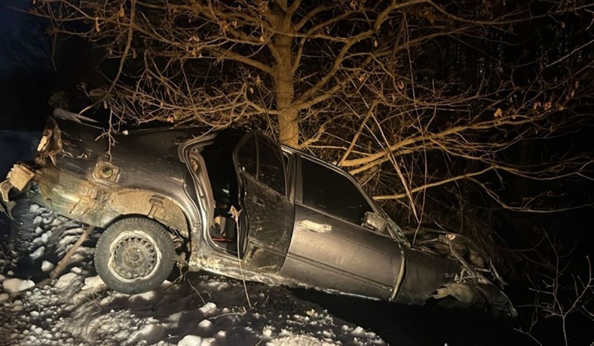 23-річний водій BMW на Буковині врізався в дерево та загинув