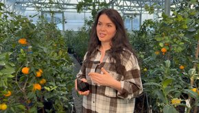 «Представники Книги рекордів були шоковані, що таке можна вирощувати в Україні»