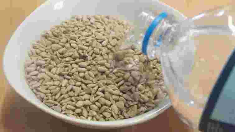 Чи зійде минулорічне насіння огірків: як швидко перевірити це вдома