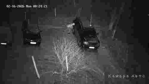 Міському голові Кіцмані Сергію Булезі зловмисник порізав колеса автомобіля