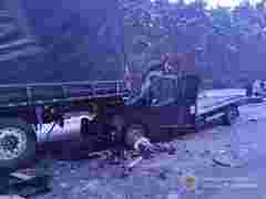 Водій Renault загинув унаслідок зіткнення з вантажівкою на Волині