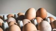Чи можна їсти яйця з протермінованою датою на упаковці: думка експерта