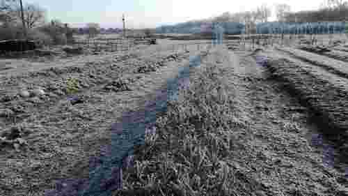 Лютневий удар по полях: як не втратити врожай через підтоплення і мороз