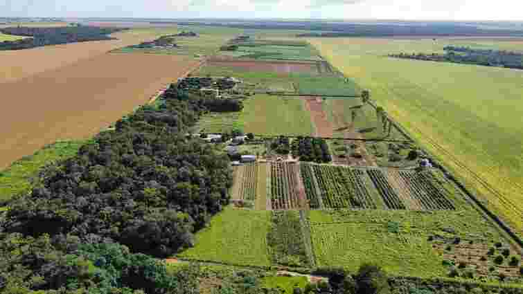 Законом більше не передбачено: як підтвердити довічне володіння ділянкою у 2026 році