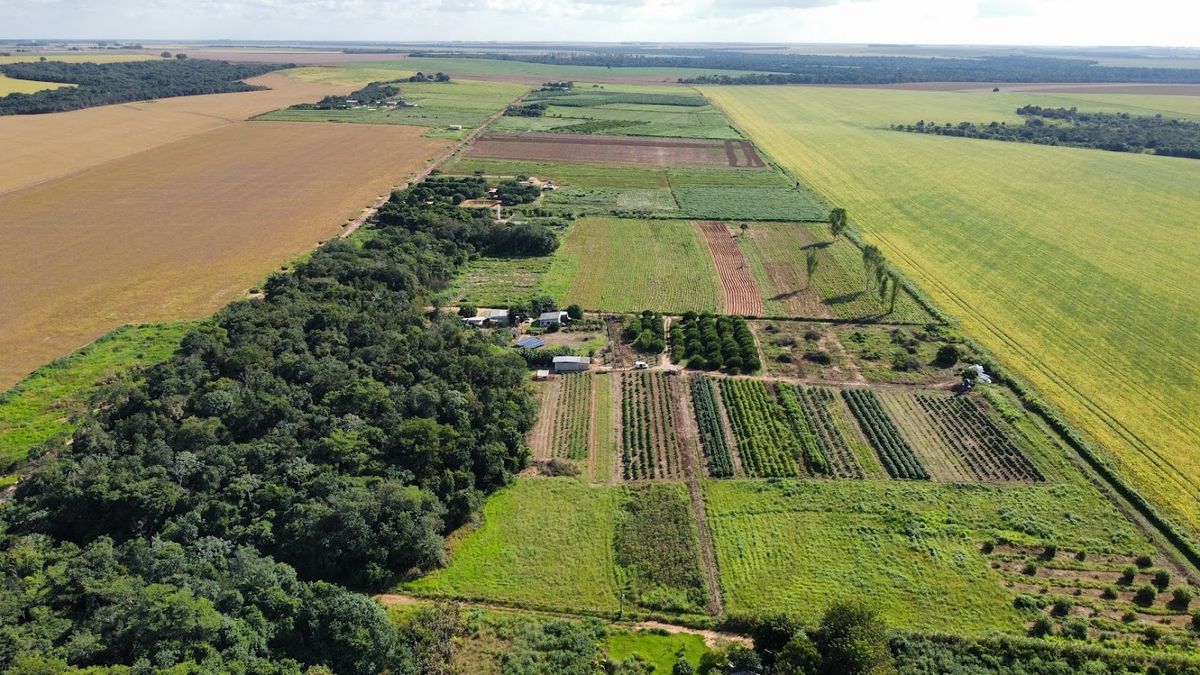 Законом більше не передбачено: як підтвердити довічне володіння ділянкою у 2026 році