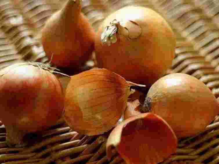 Домашнє добриво за копійки: як приготувати настій для розсади без хімії