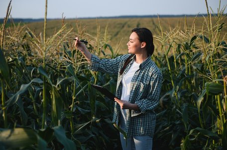 Сезонне планування в агробізнесі: як підготовка до посівної впливає на фінансовий результат