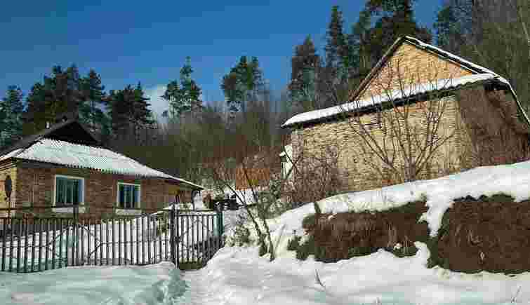 Жителька Тернопільщини підхопила сказ, коли розбороняла лисицю й собак