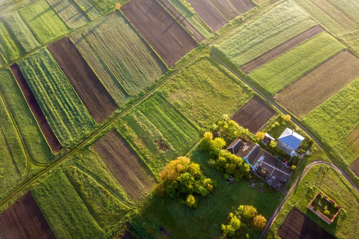 Оренда землі в Україні стрімко дорожчає і наздоганяє ціни продажу
