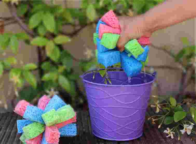 Вирішите одразу кілька проблем одразу: навіщо класти губку на дно горщика з розсадою