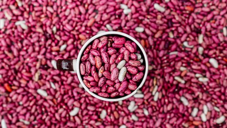 Без жодного жучка: як правильно зберігати квасолю у домашніх умовах