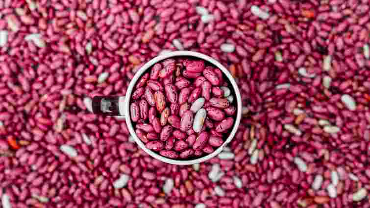 Без жодного жучка: як правильно зберігати квасолю у домашніх умовах