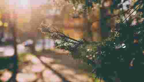 Потепління, яке усі так чекають: львівські синоптики розповіли про погоду до 25 лютого