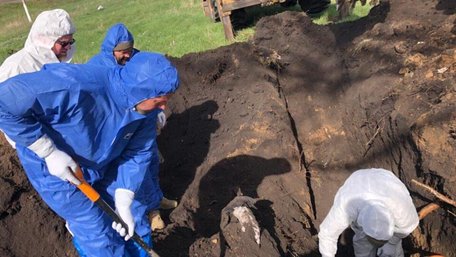 «Це дико, але я відчуваю радість, коли ми знаходимо тіла тих, кого шукали»