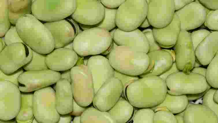 Не треба замочувати на ніч: як швидко розм'якшити сушену квасолю