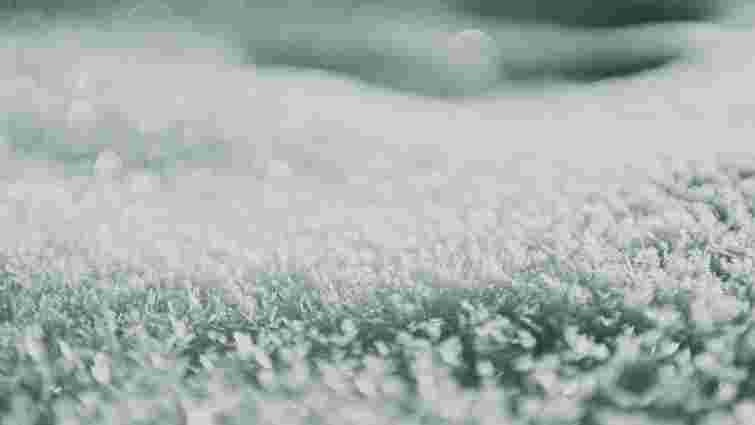 Від кубиків льоду до пари: що допоможе відновити ворс на килимі