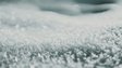 Від кубиків льоду до пари: що допоможе відновити ворс на килимі
