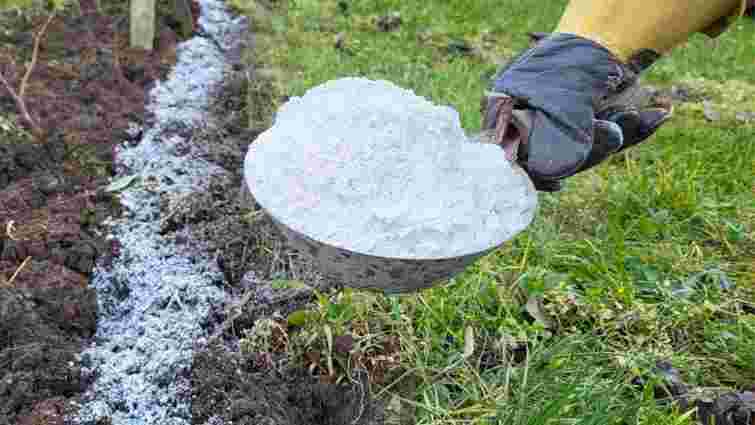 Не поспішайте викидати зіпсоване борошно: три способи використати його на грядках