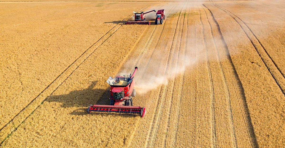 Агробізнес планує підвищення зарплат працівникам на 10–15%