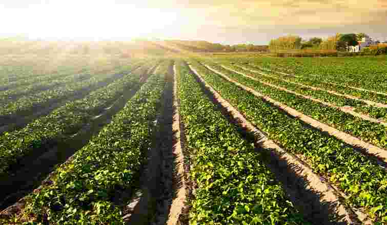 В Україні запускають агрострахування з державною компенсацією