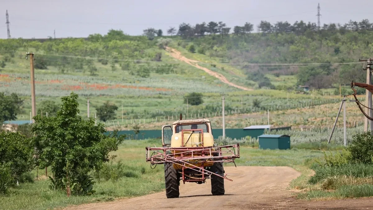 Українські агровиробники зможуть отримати безвідсоткові кредити на п’ять років