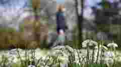 Весна за календарем: якою буде погода у Львові впродовж тижня