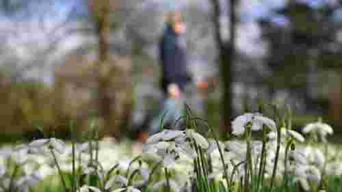 Весна за календарем: якою буде погода у Львові впродовж тижня