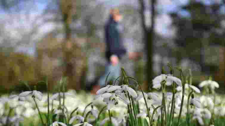 Весна за календарем: якою буде погода у Львові впродовж тижня
