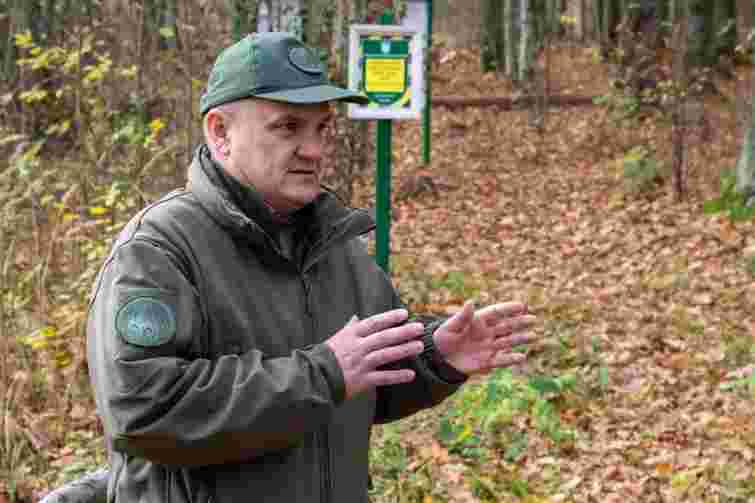 Суд виправдав екскерівника «Цуманської пущі» у справі про вирубку дерев на 16 млн грн