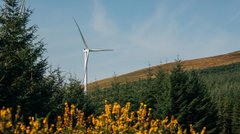 Шукати вітру в горах