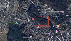 Прокуратура розслідує захоплення 3,9 га лісових земель у Брюховичах