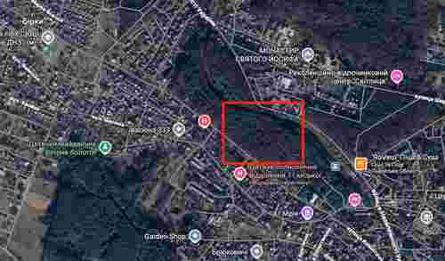 Прокуратура розслідує захоплення 3,9 га лісових земель у Брюховичах