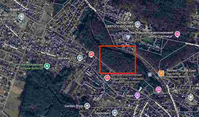 Прокуратура розслідує захоплення 3,9 га лісових земель у Брюховичах